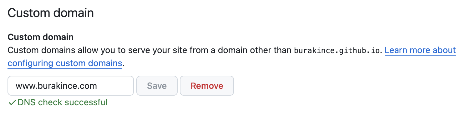 my custom domain definition image on GitHub Pages